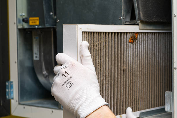 Best Affordable Air Duct Cleaning  in Cienega Springs, AZ