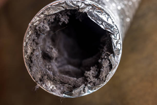 Best HVAC System Cleaning  in Cienega Springs, AZ